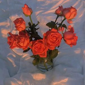 另类老妇videos另类
